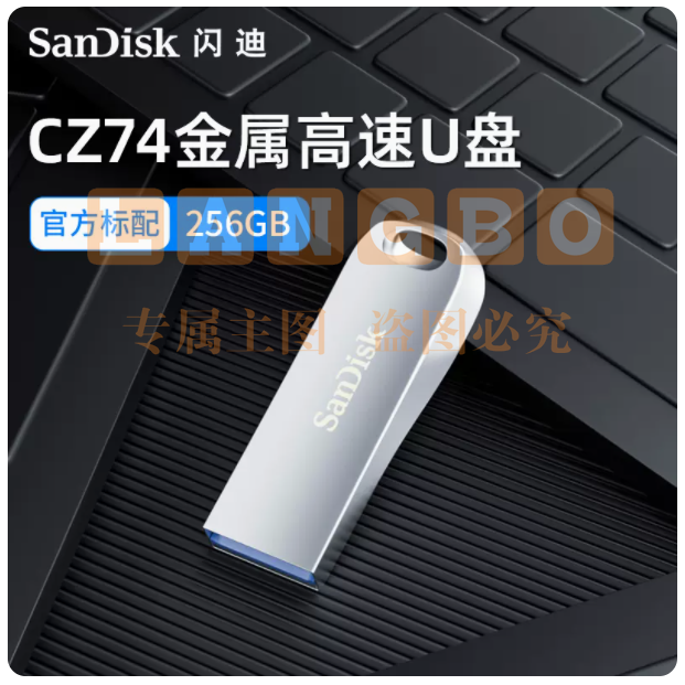 U盘(可刻字） 闪迪全金属U盘USB3.1电脑256G高速优盘cz74