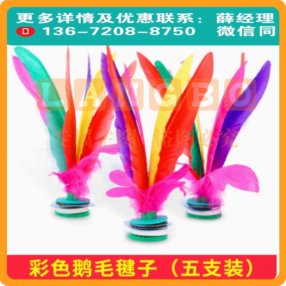 毽子比赛专用儿童小学生耐踢毛花腱羽鹅毽球5只装