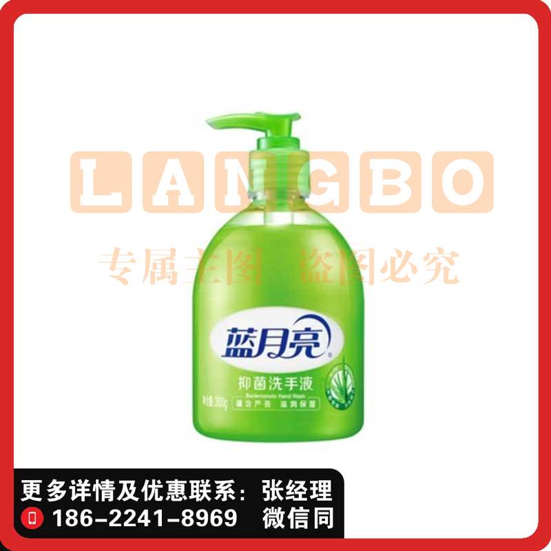 蓝月亮洗手液芦荟洗手液清爽抑菌 滋润清洁家用抑菌清洁500g*1瓶
