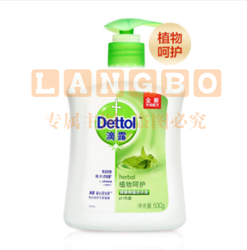 滴露/Dettol 健康抑菌洗手液植物呵护500g 抑菌99.9%