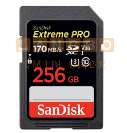 闪迪（SanDisk）256GB  170M/s V30 4K  SD存储卡