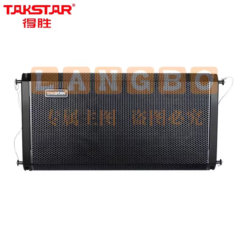 得胜（TAKSTAR）ELA-121 全频线阵音箱（只）12吋线性阵列 低失真高灵敏度 小型演出剧场多功能厅