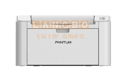 奔图(PANTUM) 黑白激光打印机 P2518NW单打印、钉钉远程打印、WIFI、网线 官方标配