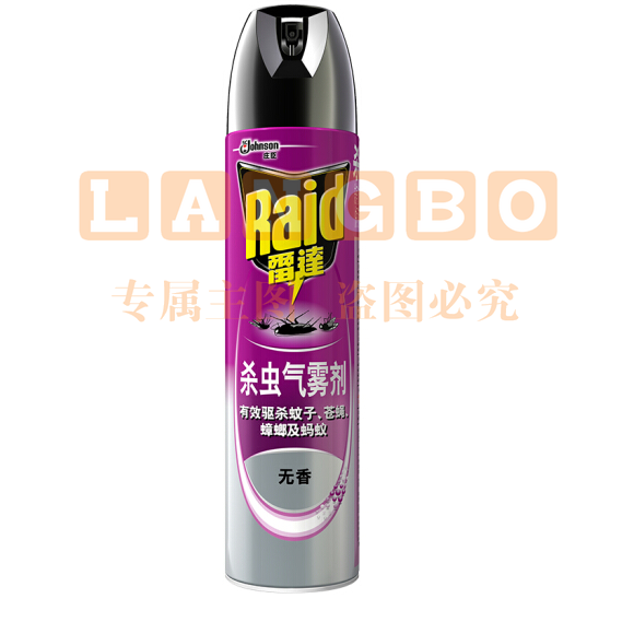 雷达(RAID) 600ml 无香喷雾杀虫剂 24瓶/箱