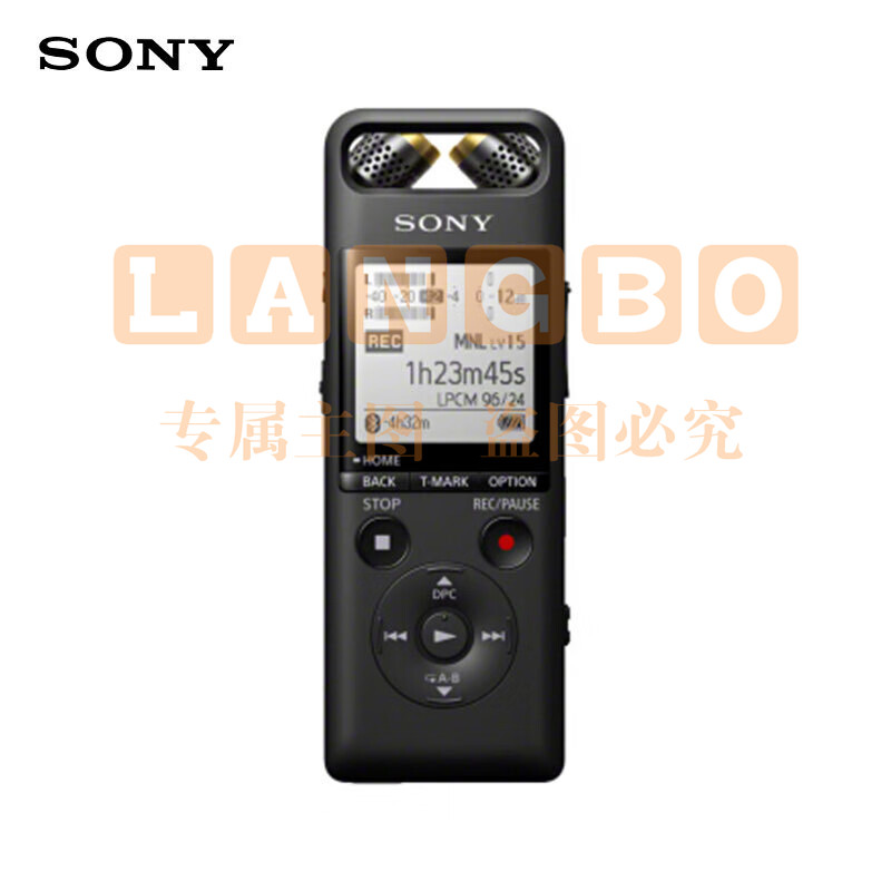 索尼（SONY）PCM-A10 数码录音笔 高清专业降噪 蓝牙操控 无损音乐播放 乐器学习商务采访 16GB 黑色 SKU：YDKJ09628