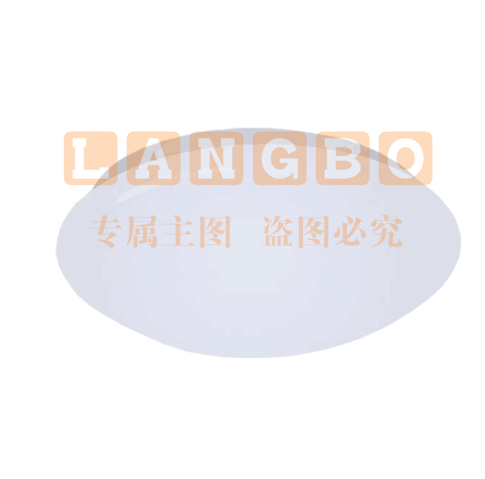 吸顶灯 LED16W 吸顶灯 楼道灯楼梯间顶灯（底盘尺寸230mm）