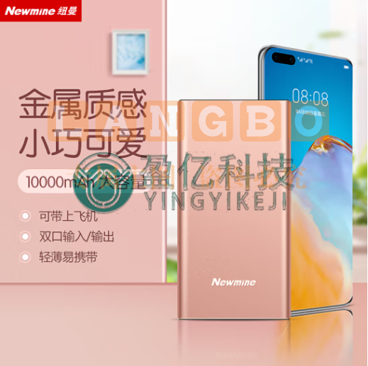 纽曼 （Newmine ）移动电源10000毫安时双USB输出Type-C输入金属充电宝M106