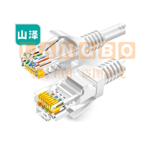 山泽超五类网线 CAT5e类高速百兆网线 3米 ZW-03