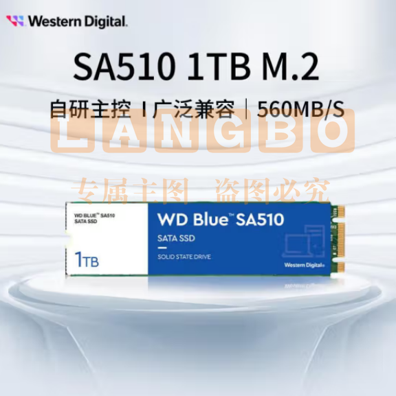 西部数据（WD) 1TB 笔记本台式机电脑 SSD固态硬盘 SA510 SATA M.2接口 Blue系列 3D技术  WDS100T3B0B  pcyg-230625184148