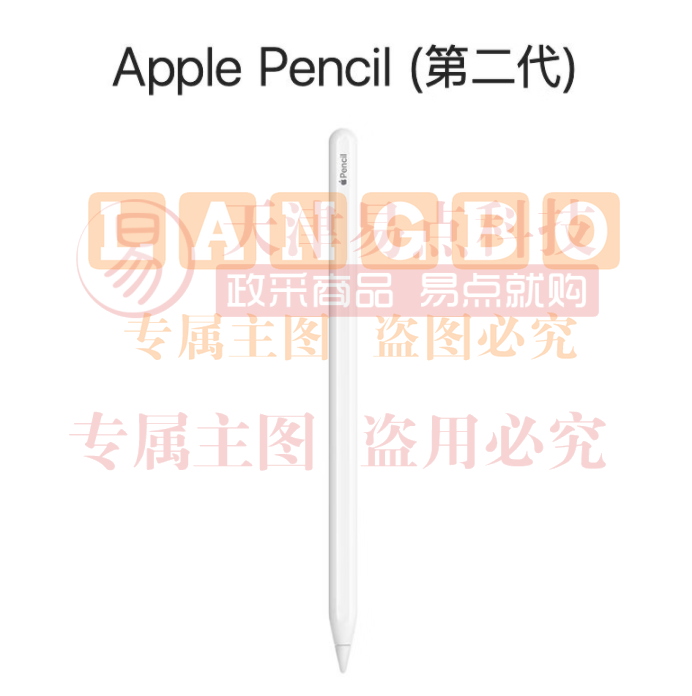 Apple Pencil (第二代) 适用于 2022/2021款12.9 英寸和11英寸iPad Pro/2022款10.9英寸iPad Air（可当天配送发货）