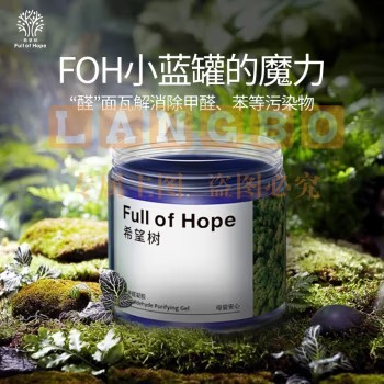 FULL OF HOPE 3罐装 除甲醛果冻除醛剂(单位组)