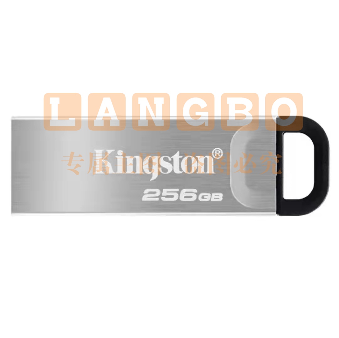 金士顿(Kingston)256GB USB 3.2 Gen 1 U盘 DTKN 金属外壳 读速200MB/s