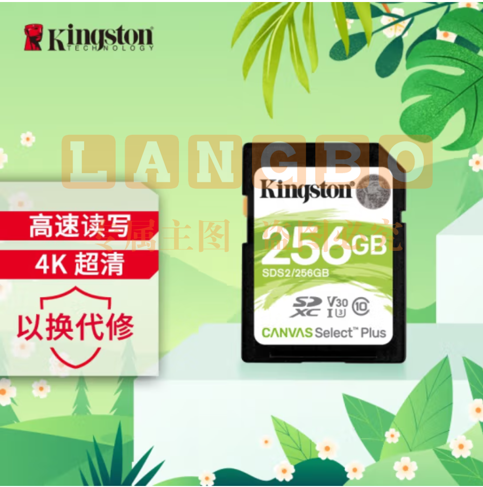 金士顿（Kingston）256GB SD存储卡