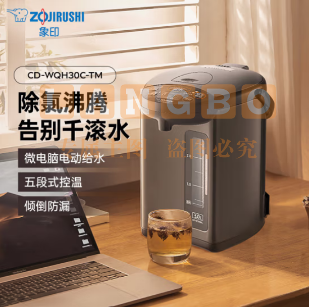 象印（ZO JIRUSHI）电水壶 五段控温可定时 3L容量 CD-WQH30C-TM(金属棕色)