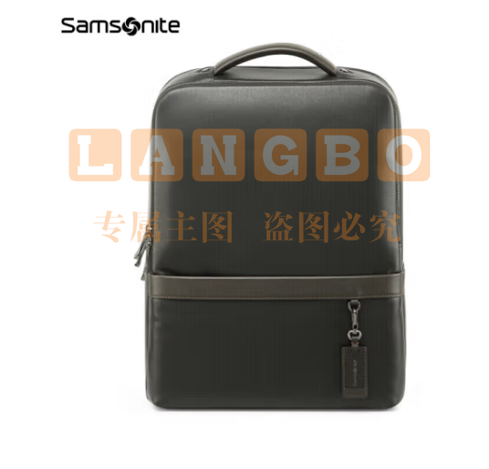 新秀丽（Samsonite）电脑包牛皮男包男士双肩包笔记本包精英商务BC9*09101黑色