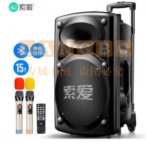 索爱 soaiy A90 15英寸大功率重低音音响 移动户外蓝牙音箱扩音器+无线麦克风*2