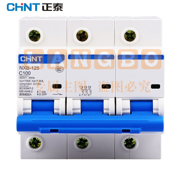 正泰（CHNT）NXBLE-125 小型漏电保护断路器 漏保空气开关 NXBLE-125-3P-C100 30mA
