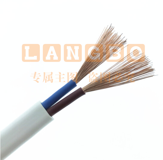 电源线  电线2*1.5²
