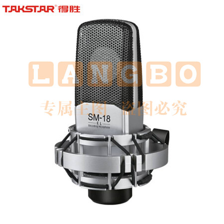 得胜(TAKSTAR) SM-18 EL麦克风K歌直播设备专业录音唱歌话筒手机电脑通用