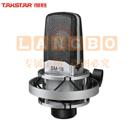 得胜(TAKSTAR)SM-18 PRO专业录音麦克风 多人唱K录音棚舞台演出乐器录音专业电容麦克风直播声卡套装话筒