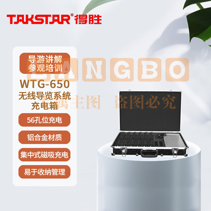 得胜 (TAKSTAR)WTG-650 无线导览讲解器 一对多传声系统导游教学同声传译 充电箱