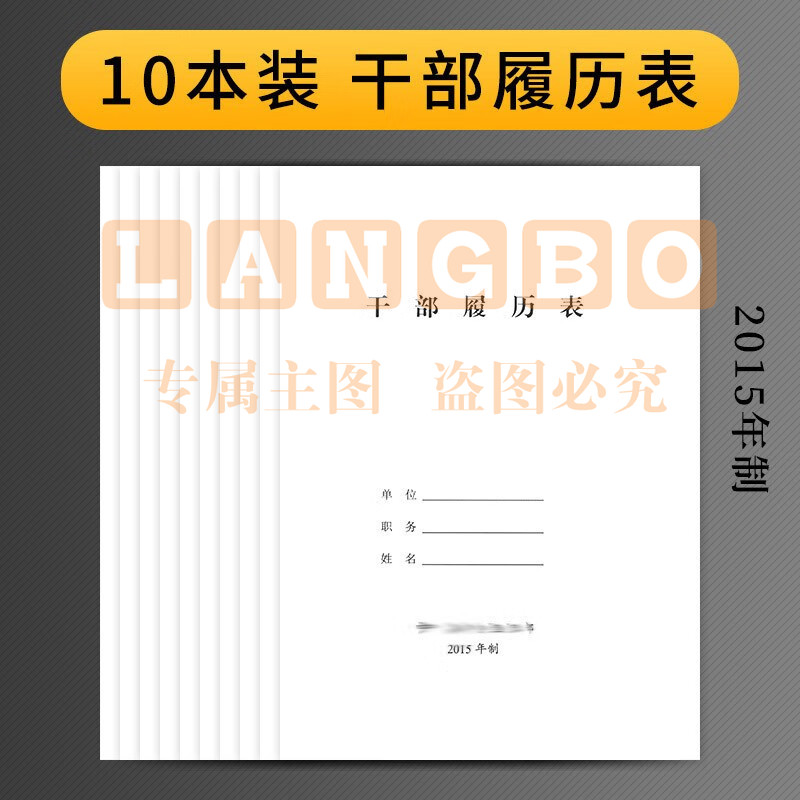 干部履历表  10本装