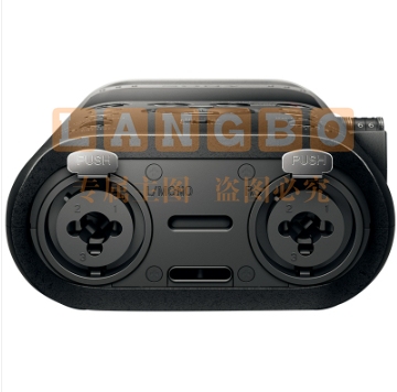 索尼（SONY）专业数码录音笔PCM-D10 16GB 黑色 数字降噪Hifi无损播放 大直径三向双麦克风