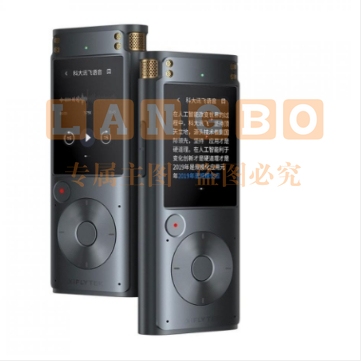 科大讯飞 智能录音笔 SR302M 32G