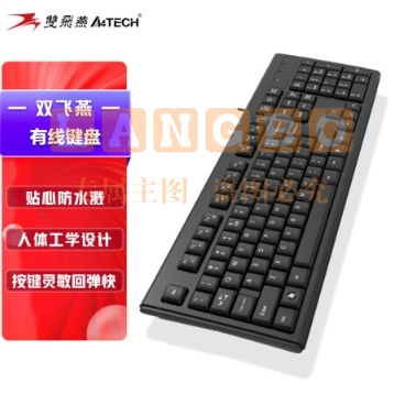 双飞燕（A4TECH) WK-100 有线键盘 办公打字用薄膜键盘笔记本外接台式电脑通用键盘104键 USB接口 黑色
