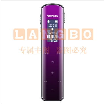 纽曼（Newsmy）录音笔 V29 16G 大电量长待机 触控键专业高清远距降噪声控FM收音机 学习培训会议留证 渐变紫 