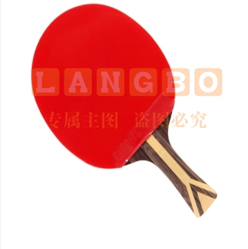 红双喜DHS狂飚九星乒乓球拍横拍专业比赛黑檀芳碳攻防H9002