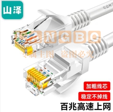 山泽（SAMZHE）ZW-10 超五类网线 CAT5e类高速千兆网线 10米 工程/宽带电脑家用连接跳线 成品网线 贝吉色