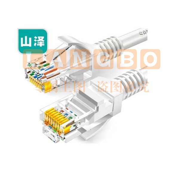 山泽(SAMZHE)ZW-02 超五类网线 CAT5e类高速百兆网线 2米 贝吉色 (