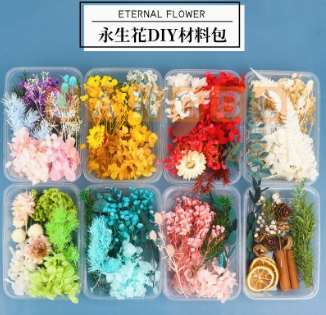 天然干花永生花假花仿真花儿童手工diy团扇材料包