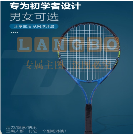 红双喜网球回弹训练器 网球拍单人带线回弹 儿童一个人打的弹力球 290蓝色