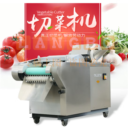 银鹰 多功能切菜机 全自动切丝片块丁JQC-660