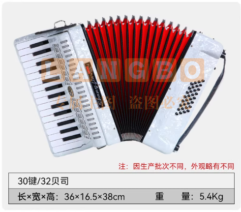 圣杰SJ-32 手风琴32贝斯30键演奏乐器